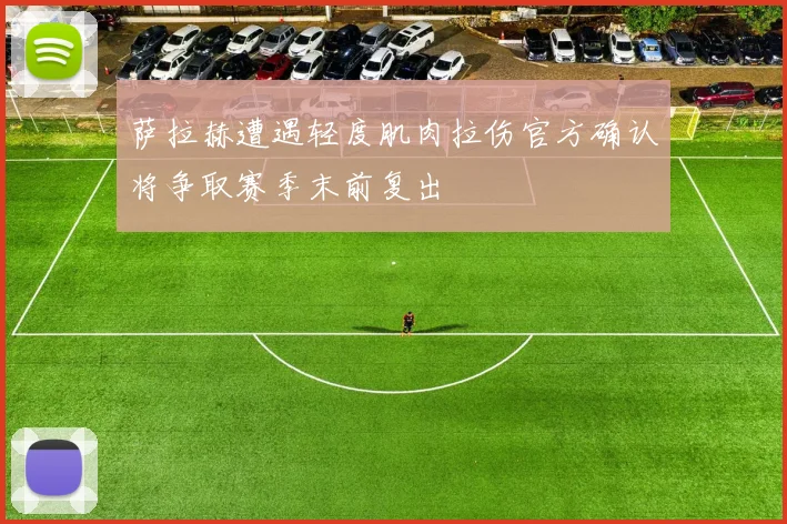萨拉赫遭遇轻度肌肉拉伤官方确认将争取赛季末前复出