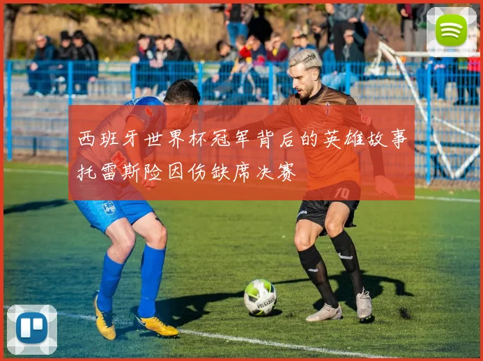 西班牙世界杯冠军背后的英雄故事托雷斯险因伤缺席决赛