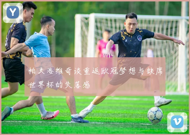 帕夫洛维奇谈重返欧冠梦想与缺席世界杯的失落感